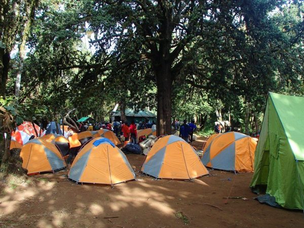 mti mkubwa camp