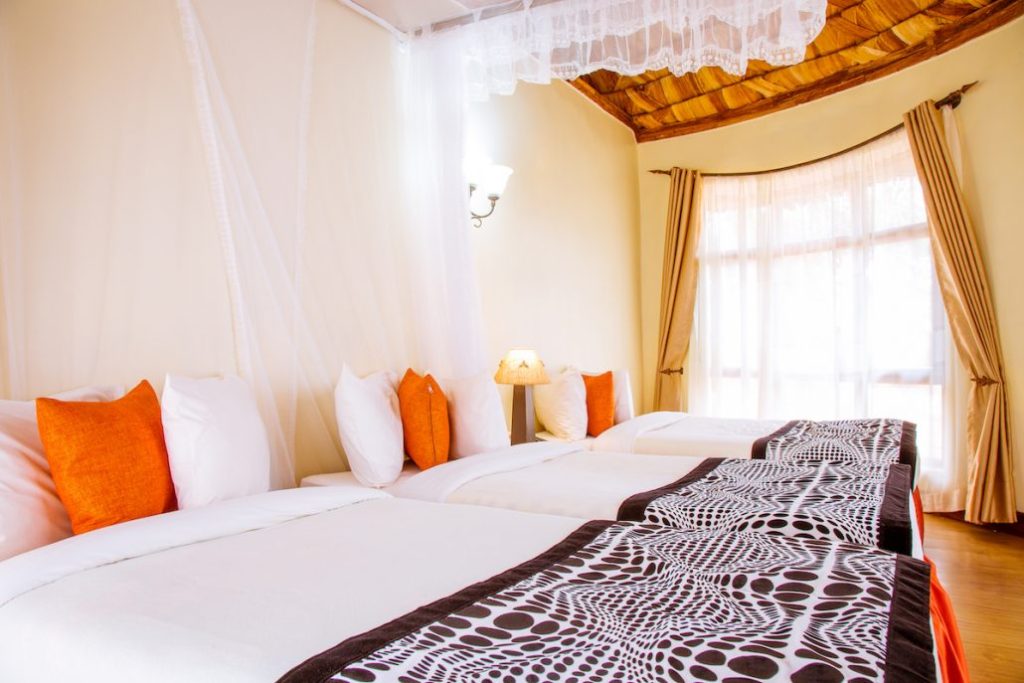 Farm-of-Dream-Lodge-Karatu5